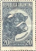Cattle (Bos primigenius taurus)