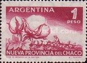 Chaco - Cotton Flower