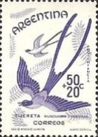 Fork-tailed Flycatcher (Muscivora tyrannus)