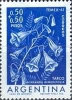 Tarco (Jacaranda mimosifolia)
