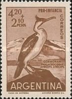 Imperial Shag (Phalacrocorax atriceps)