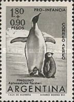 Emperor Penguin (Aptenodytes forsteri) 