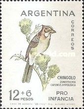 Rufous-collared Sparrow (Zonotrichia capensis hypoleuca)