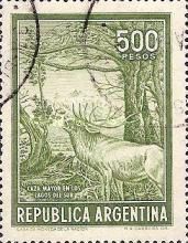 Red Deer (Cervus elaphus)