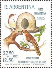 Rufous Hornero (Furnarius rufus rufus)