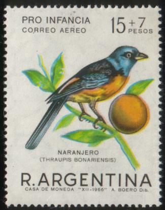 Blue-and-yellow Tanager (Thraupis bonariensis)