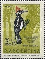 Lineated Woodpecker (Ceophloeus lineatus)