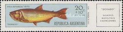 Golden Dorado (Salminus maxillosus)