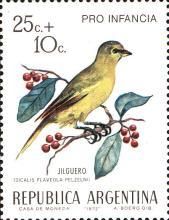 Saffron Finch (Sicalis flaveola pelzelni)