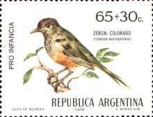 Rufous-bellied Trush (Turdus rufiventris)