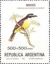 Great Kiskadee (Pitangus sulphuratus bolivianus)