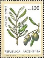 Olives (Olea europea)