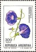 Campanilla (Ipomola purpurea) - Phosphor