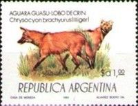 Maned Wolf (Chrysocyon brachyurus)