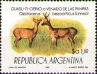 Pampas deer (Ozotoceros bezoarticus)