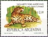 Jaguar (Panthera onca)