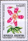 Palo Borracho (Chorisia speciosa) - Phosphor