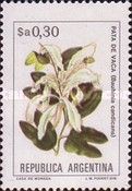 Pata de Vaca (Bauhinia candicans) - Phosphor