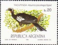Black-fronted Piping Guan (Aburria jacutinga)