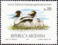 Hooded Grebe (Podiceps gallardoi)
