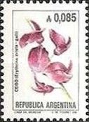 Ceibo (Erythrina crista-galli) - Phosphor