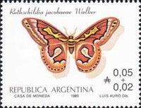 Giant Silk Moth (Rothschildia jacobaeae)