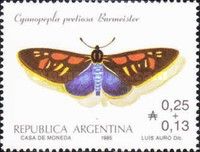 (Cyanopepla pretiosa)