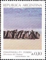 Tourism - Punta Tombo Penguin Rookery - Magellanic Penguin
