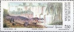 Iguazu National Park - Cayman