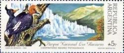 Los Glaciares National Park - Magellanic Woodpecker