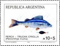 Creole Perch (Percichthys trucha) 