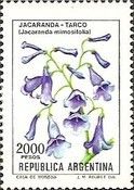 Jacaranda-Tarco (Jacaranda mimosifolia)