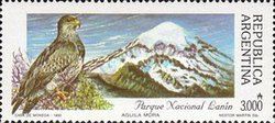 Lanín NP - Aguila Mora