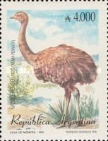 Lesser Rhea (Pterocnemia pennata)