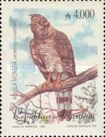 Crested Eagle (Morphnus guianensis)