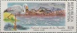 Laguna de Los Pozuelos - James’s Flamingo