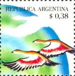 Geese