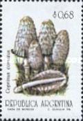 Coprinus comatus