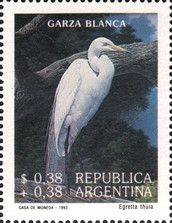 Snowy Egret (Egretta thula) (see Description)