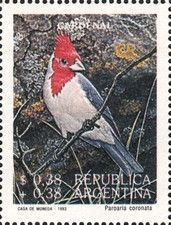 Red-crested Cardinal (Paroaria coronata)