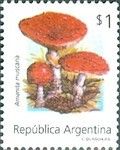 Amanita muscaria