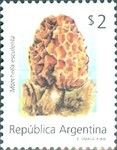 Morchella esculenta