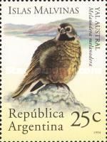White-bridled Finch (Melanodera melanodera)