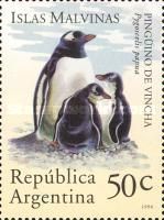 Gentoo Penguin (Pygoscelis papua)