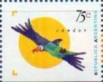 Andean Condor (Vultur gryphus)