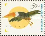 Toco Toucan (Ramphastos toco)