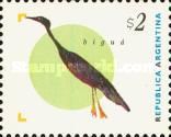 Neotropic Cormorant (Nannopterum brasilianum)