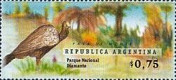 Diamante Natl. Park - Dusky-legged Guan (Penelope obscura)