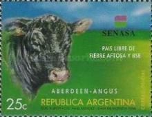 Aberdeen Angus Cattle (Bos primigenius taurus)