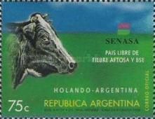 Holando Argentina (Bos primigenius taurus)
